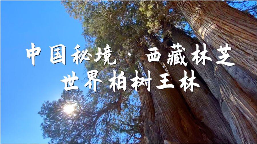 妇女节上班算加班吗？游戏画面