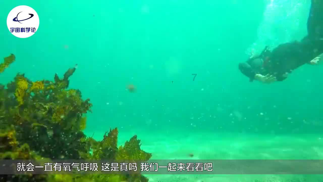 倩女幽魂手游