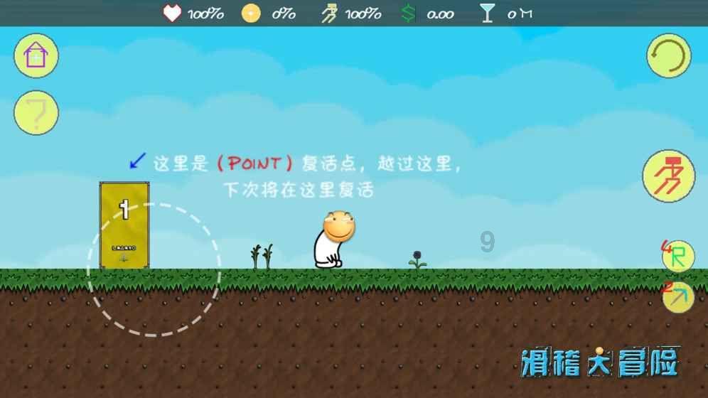梦想的后院
